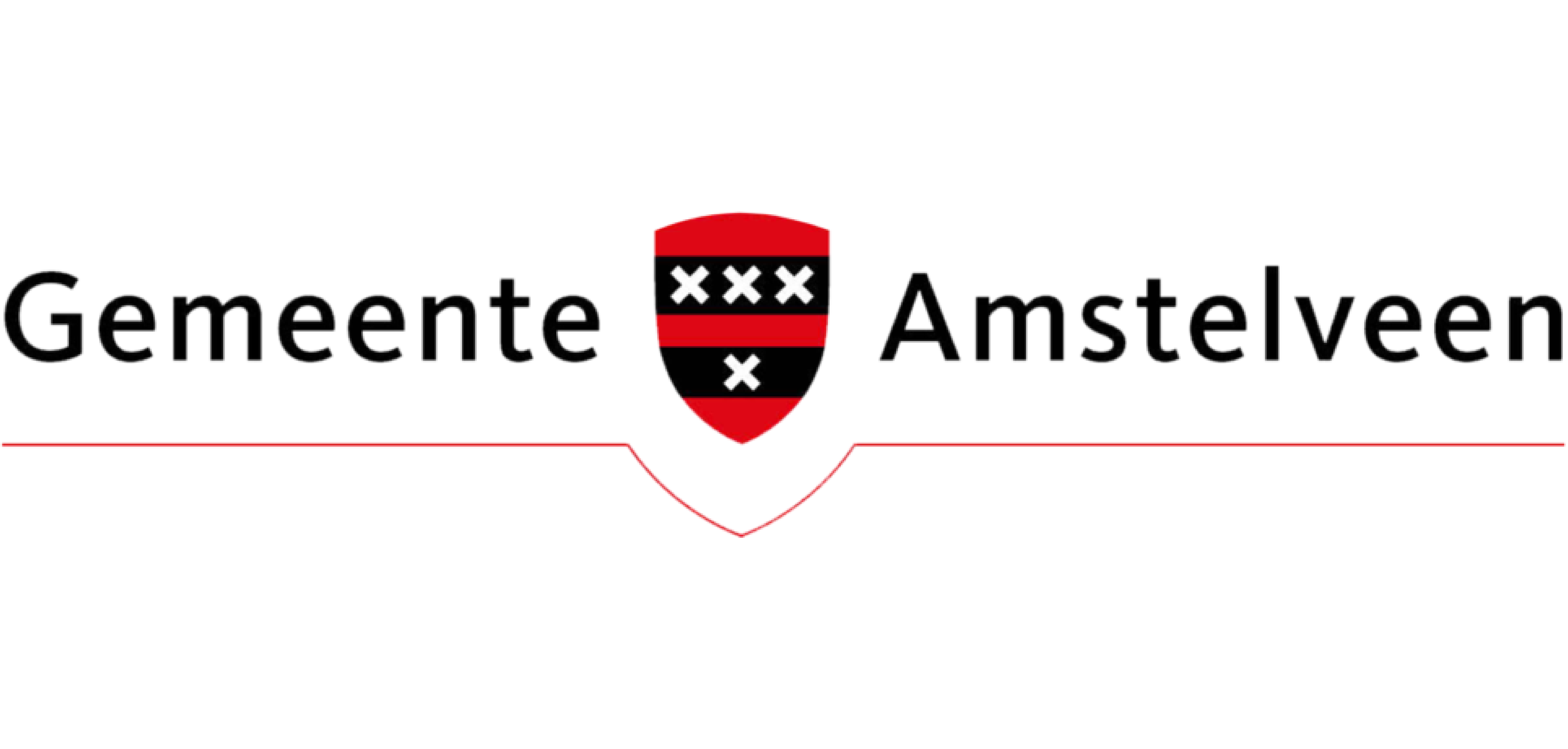 Image for Maatschappelijk domein