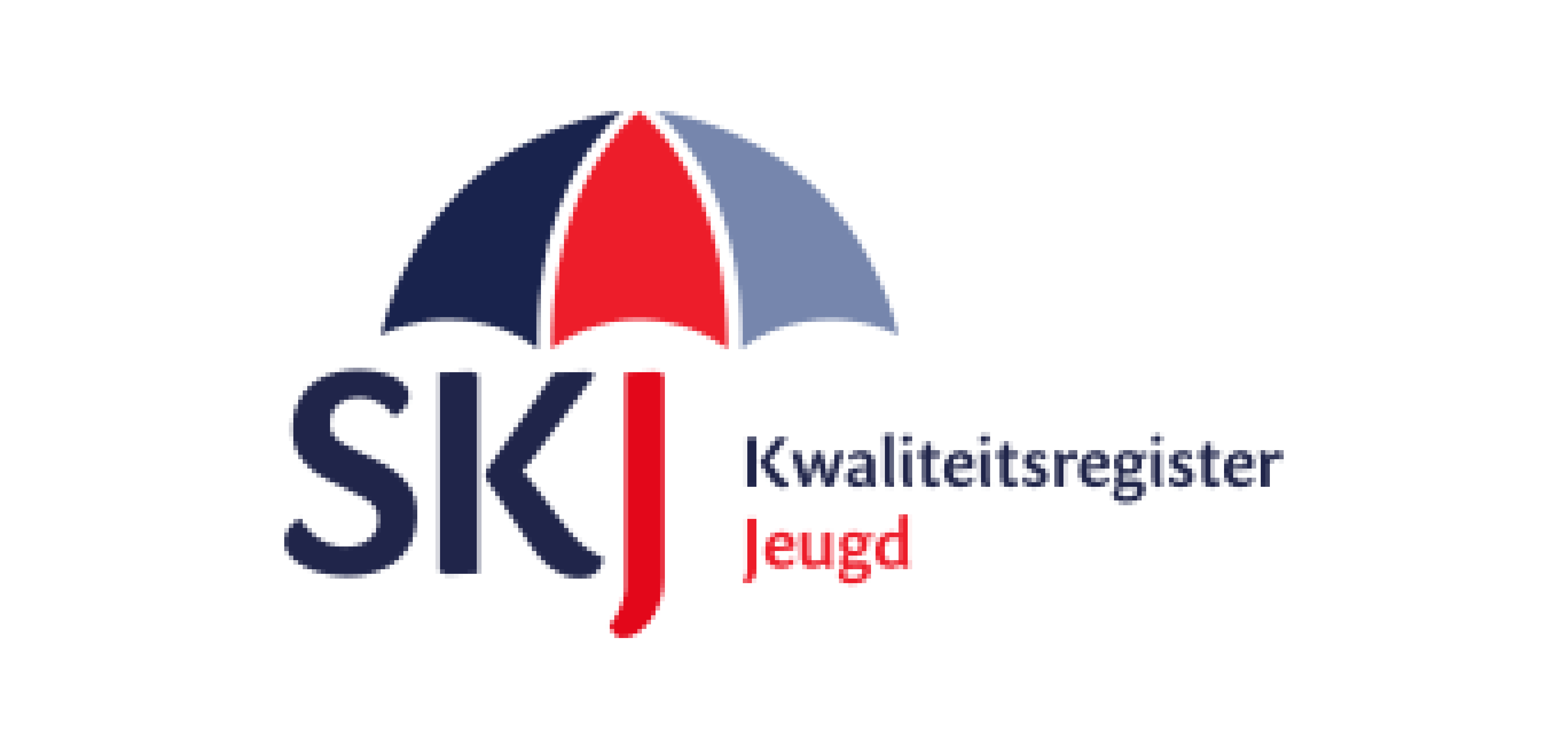 Image for Maatschappelijk domein