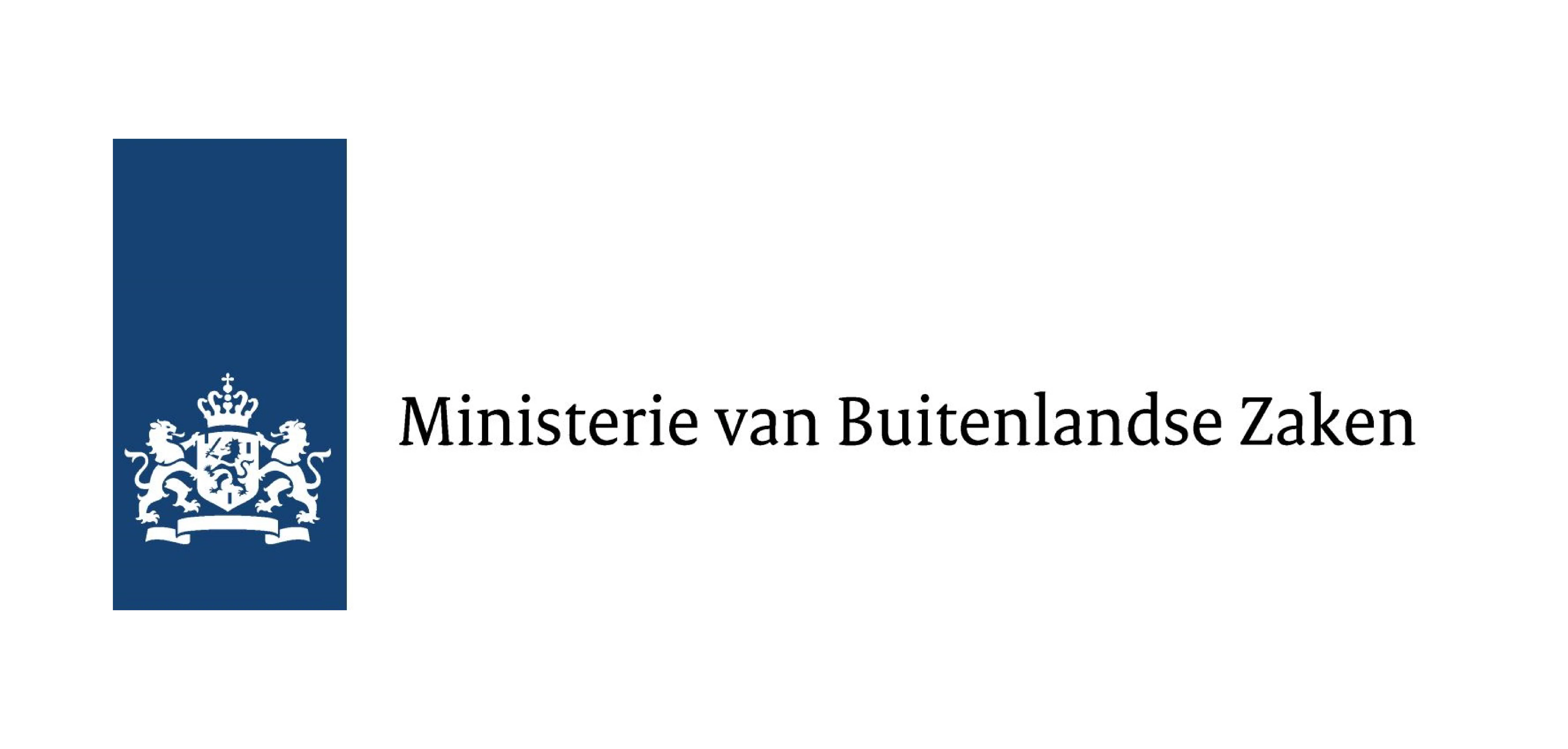 Image for Maatschappelijk domein